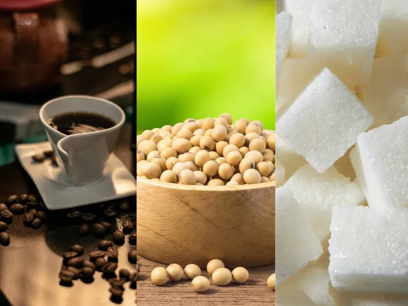 Nông sản và NLCN ngày 03/06: Chất lượng mùa vụ Mỹ sụt giảm kỷ lục kích hoạt áp lực thị trường